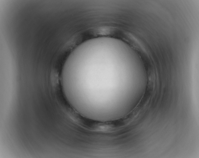 X0000111600555200907301449