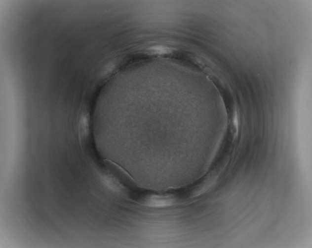 X0000111600556200907301449