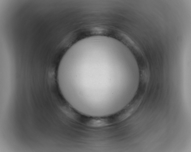 X0000111600557200907301449
