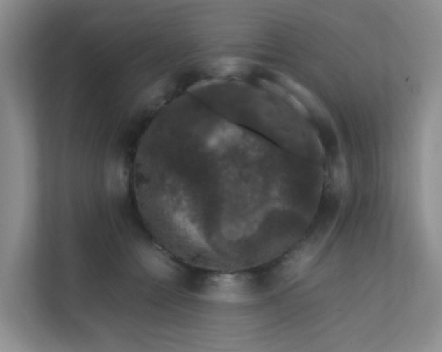 X0000111600558200907301449