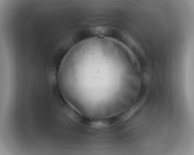 X0000111600561200907301449