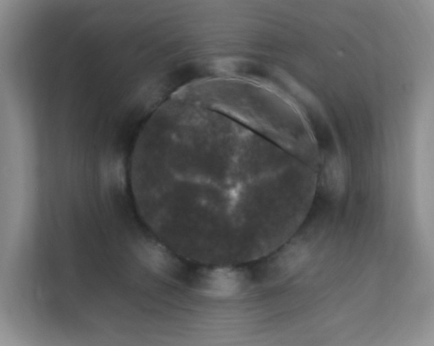 X0000111600562200907301449