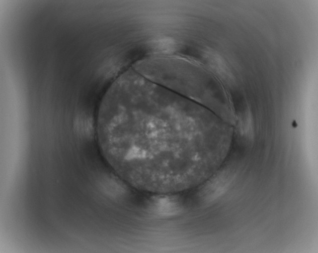 X0000111600564200907301449