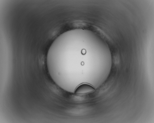 X0000111600567200907301449