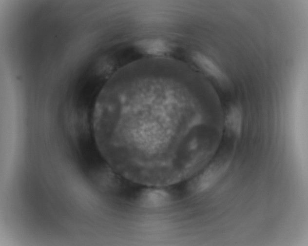 X0000111600572200907301449