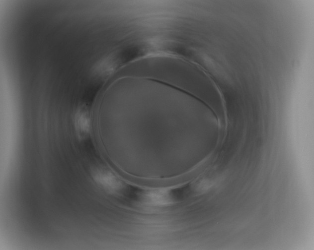 X0000111600576200907301449