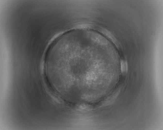 X0000111600579200907301448