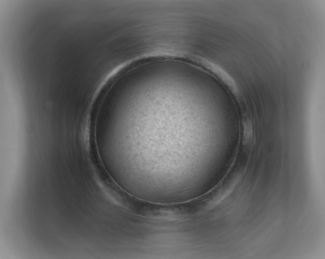 X0000111600580200907301448