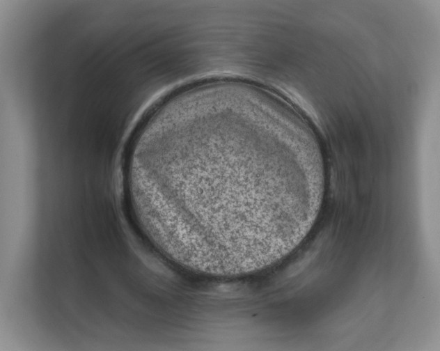 X0000111600584200907301448
