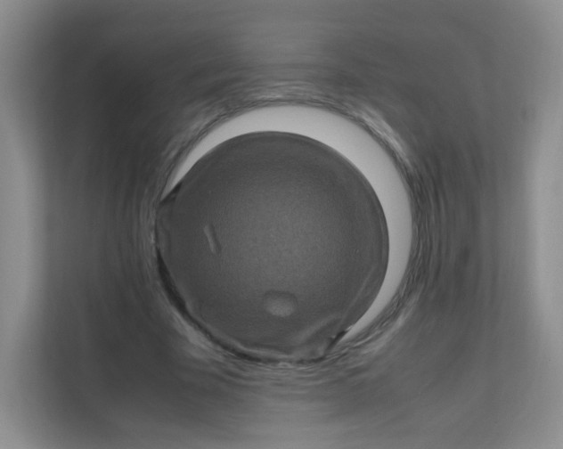 X0000111600585200907301448
