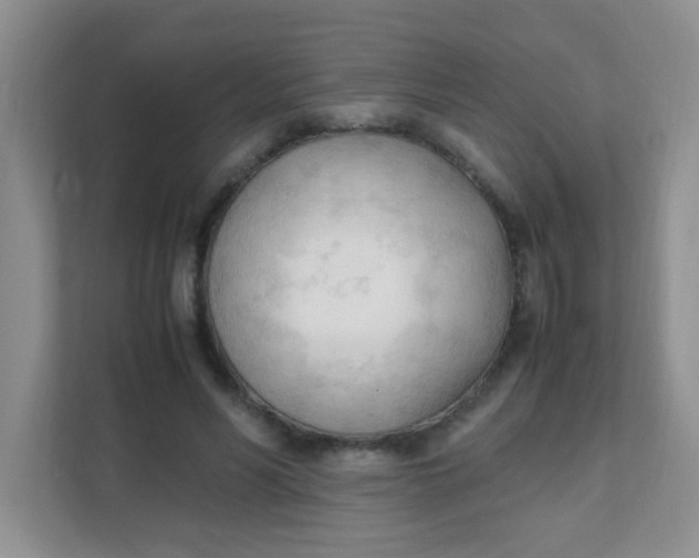 X0000111600590200907301448