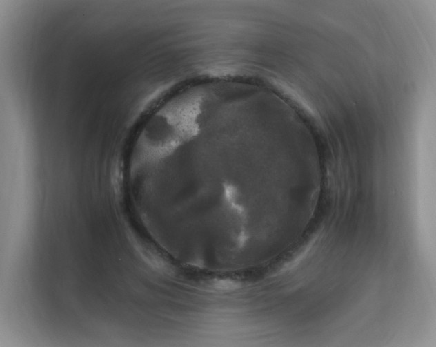 X0000111600592200907301448