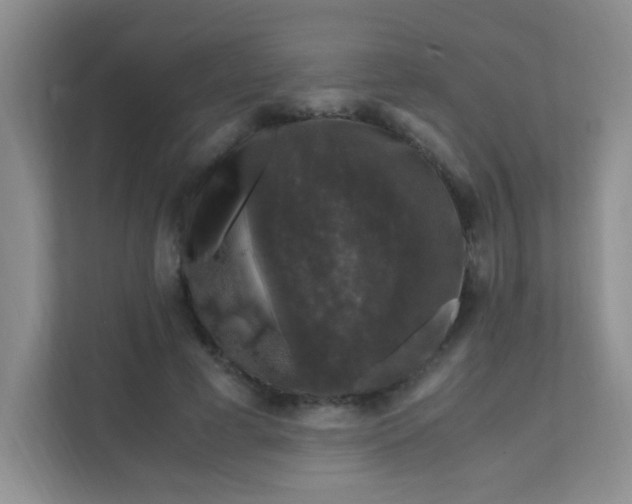 X0000111600593200907301448
