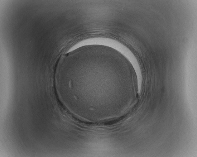 X0000111600595200907301448