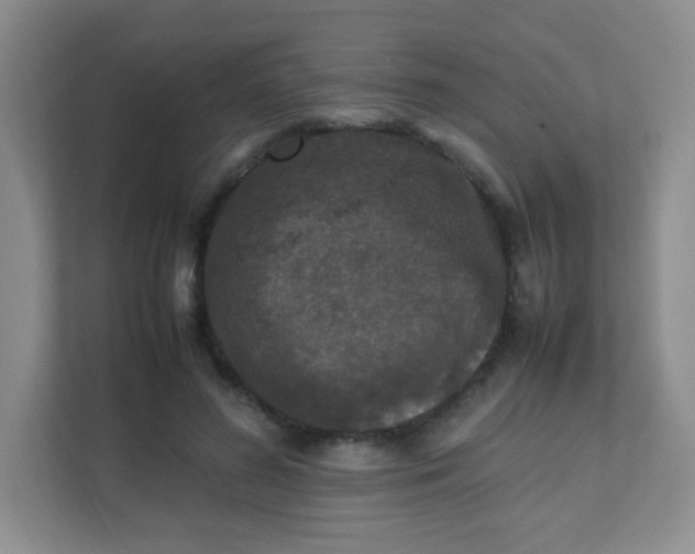 X0000111600596200907301448