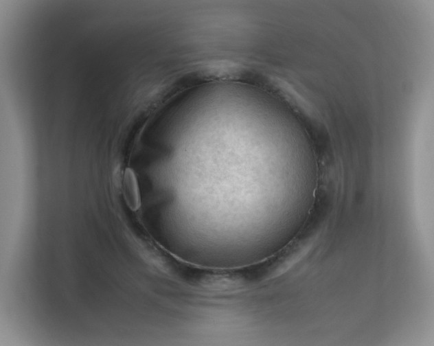 X0000111600597200907301448
