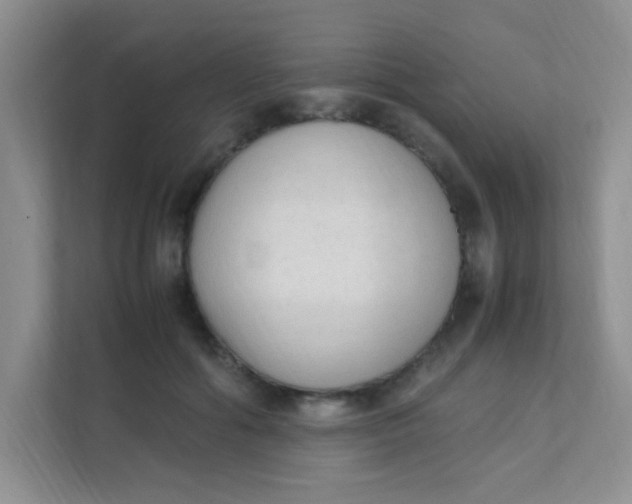 X0000111600602200907301448