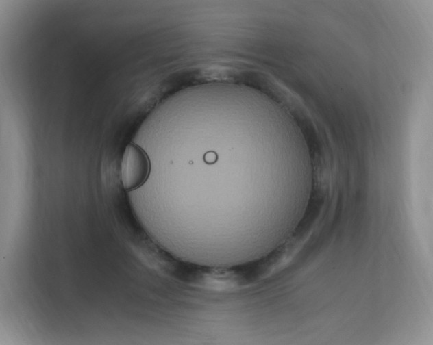 X0000111600603200907301448