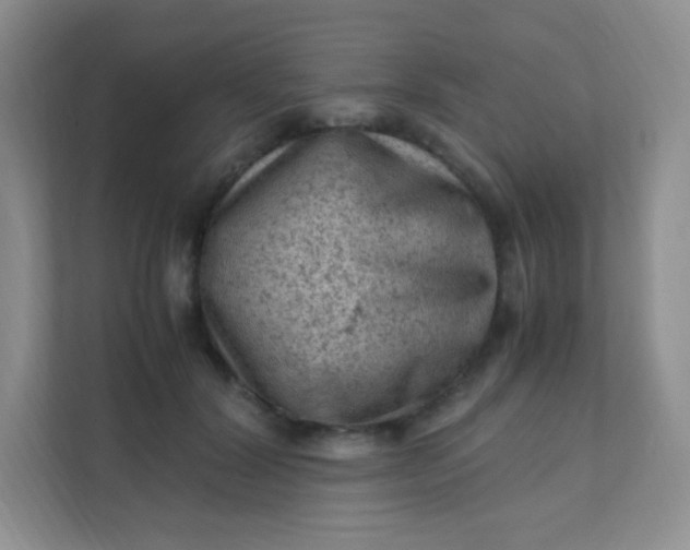 X0000111600604200907301448