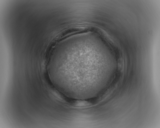 X0000111600605200907301448