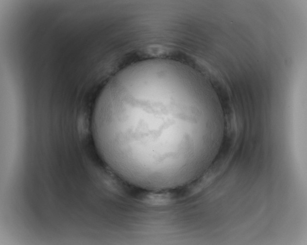 X0000111600606200907301448