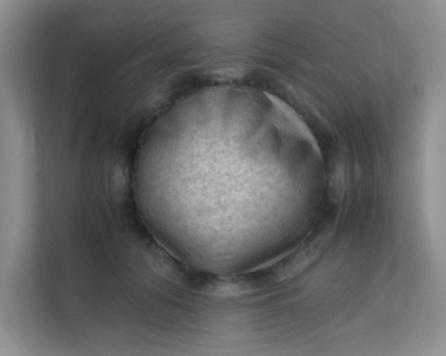 X0000111600608200907301448