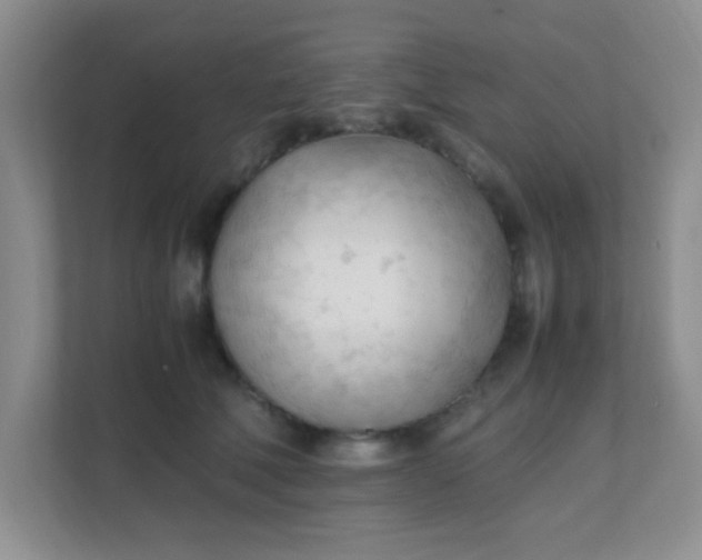 X0000111600610200907301448