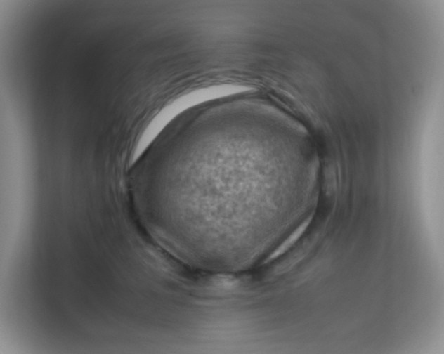 X0000111600613200907301448