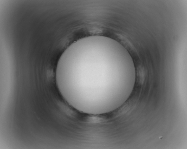 X0000111600614200907301448