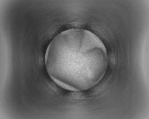 X0000111600615200907301448
