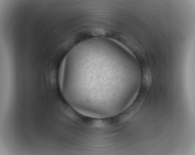 X0000111600616200907301448