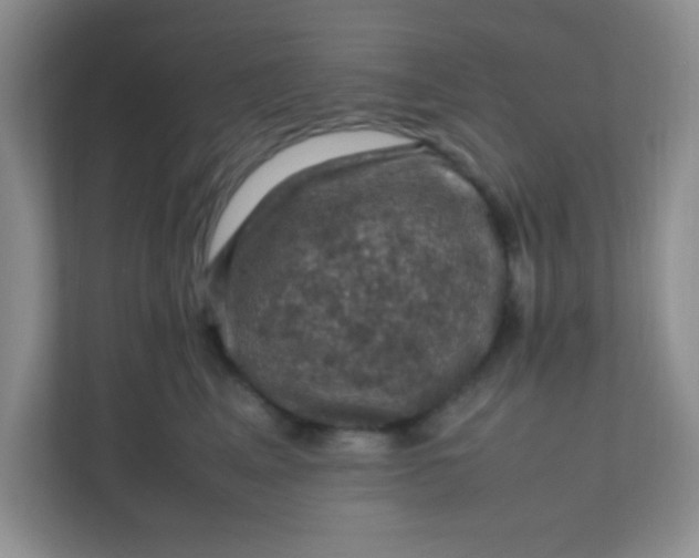 X0000111600617200907301448
