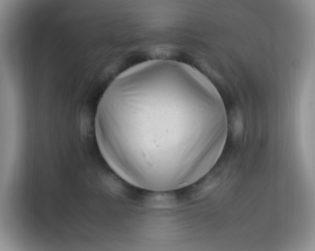 X0000111600619200907301448