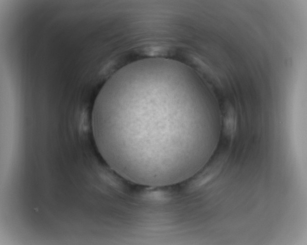 X0000111600620200907301448