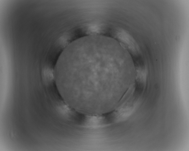 X0000111600621200907301448
