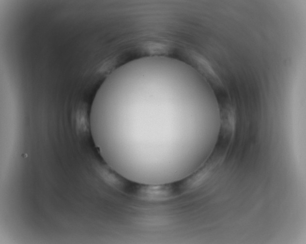 X0000111600622200907301448