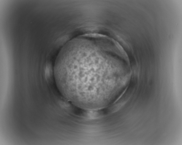 X0000111600623200907301448