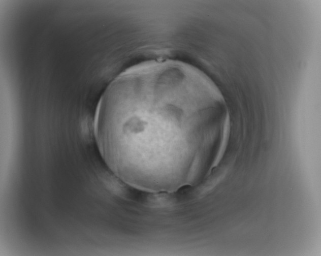 X0000111600624200907301448