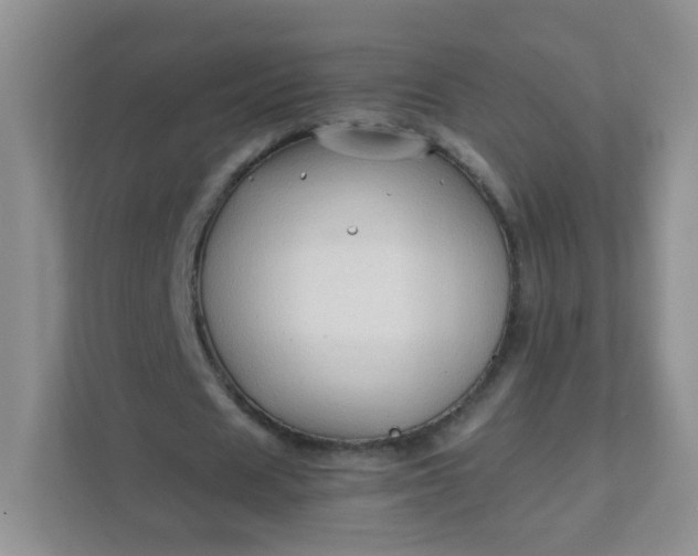 X0000111600625200907301447