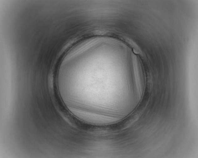 X0000111600626200907301447