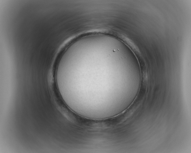 X0000111600628200907301447