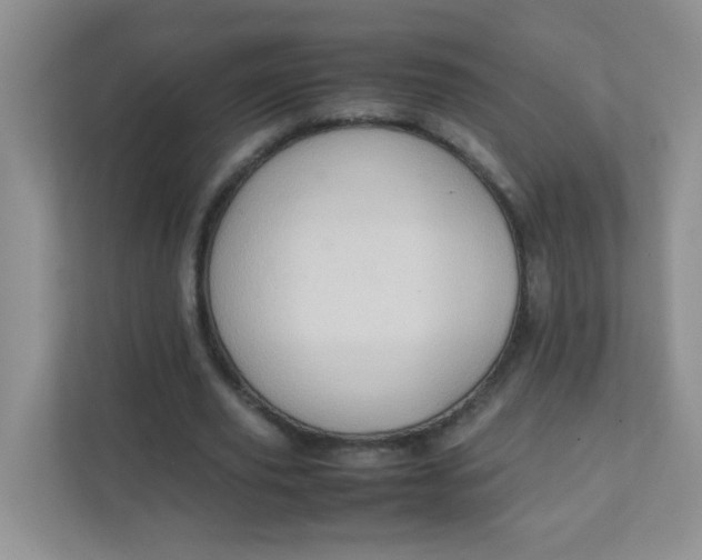 X0000111600629200907301447