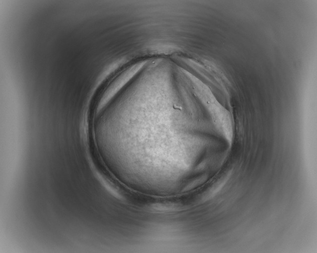 X0000111600630200907301447