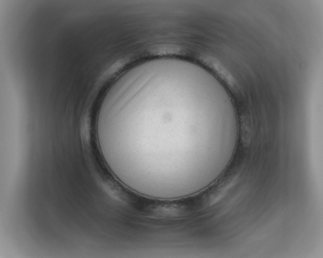 X0000111600631200907301447