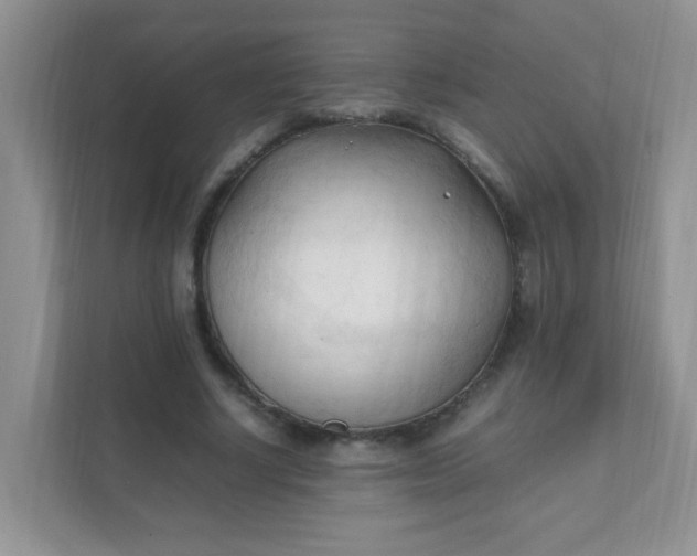 X0000111600634200907301447