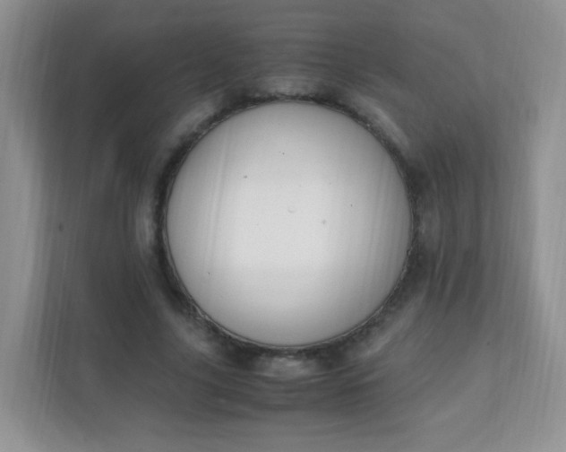 X0000111600635200907301447