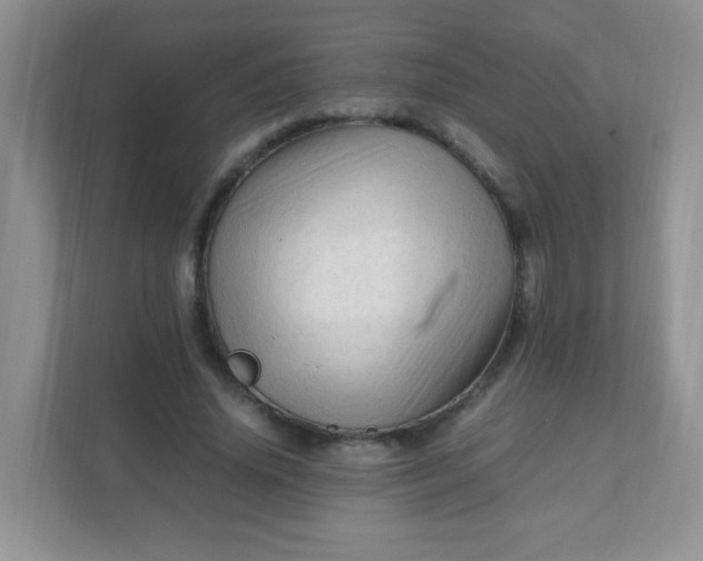 X0000111600636200907301447