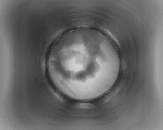 X0000111600637200907301447