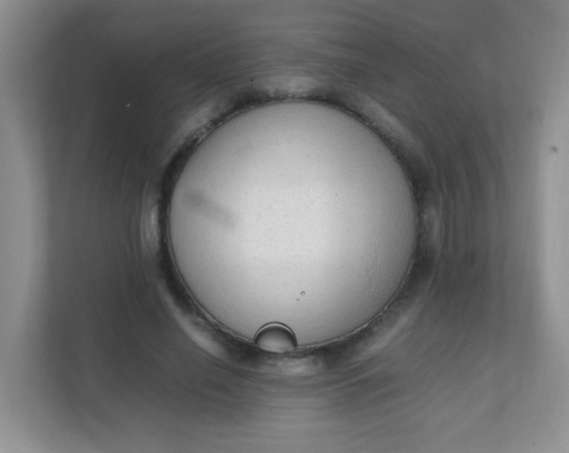 X0000111600638200907301447