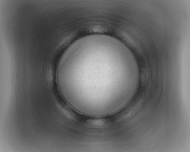 X0000111600639200907301447